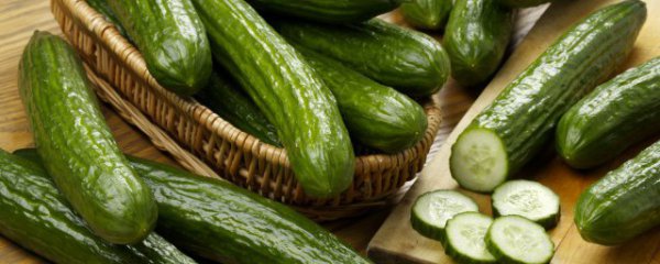 适合七八月份种的蔬菜