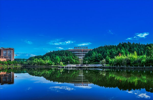 景德镇陶瓷大学是几本