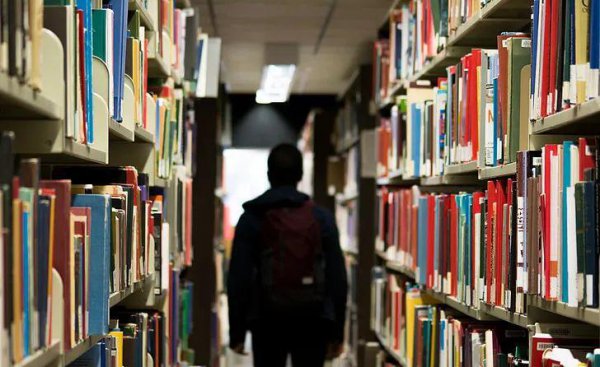 分流是什么意思