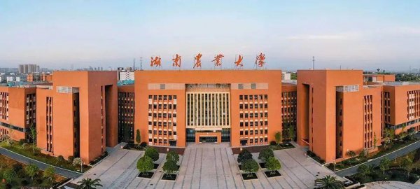 湖南的大学考研排名