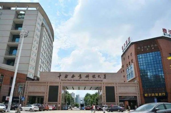 湖南的大学考研排名