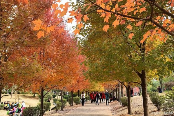 湖南的大学考研排名