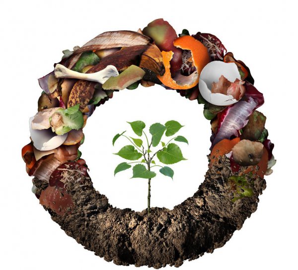 种花的陶粒是什么材料做成的