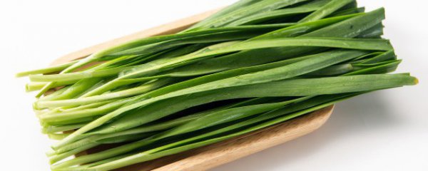 种的韭菜发黄还能吃吗