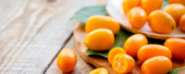 沙糖桔保存方法及注意事项