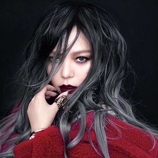 张惠妹个人简介