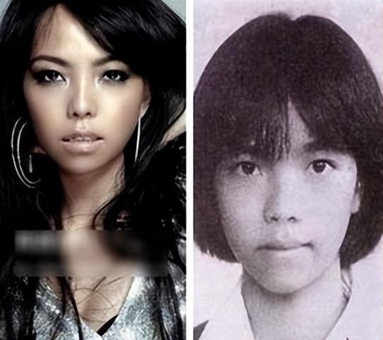 张惠妹个人简介