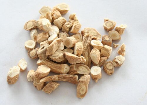 2023年种板蓝根前景怎样