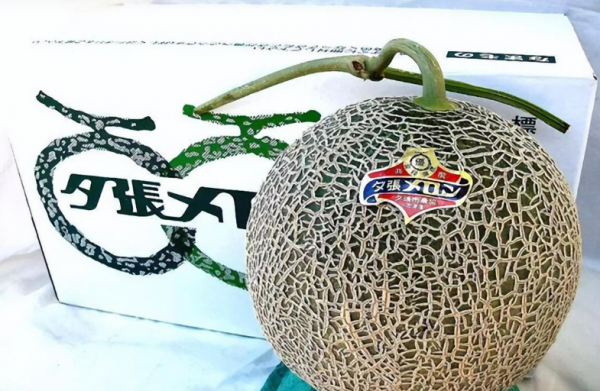 世界十大土豪水果排名