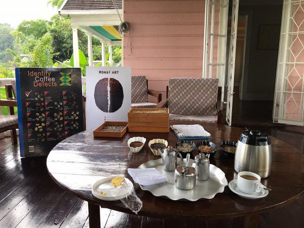 牙买加是哪个国家的缩写