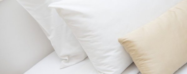 乳胶和海绵的区别