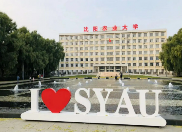 沈阳的大学有哪些学校名单