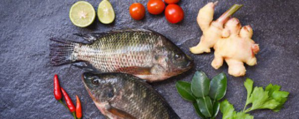 怎样挑选冬季吃的鱼肉