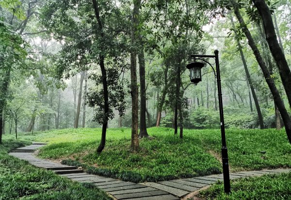 中国夏天最凉快的地方是哪里