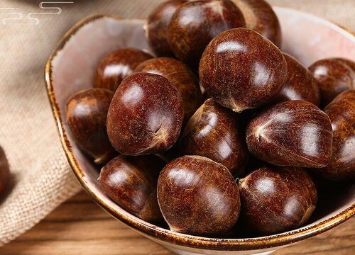 栗子什么时候成熟