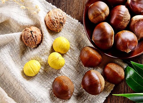 栗子什么时候成熟