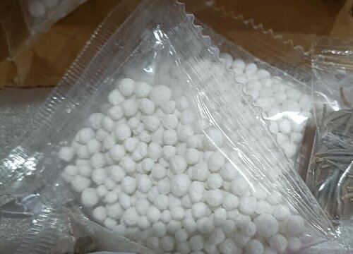 莲花种子怎么种植方法