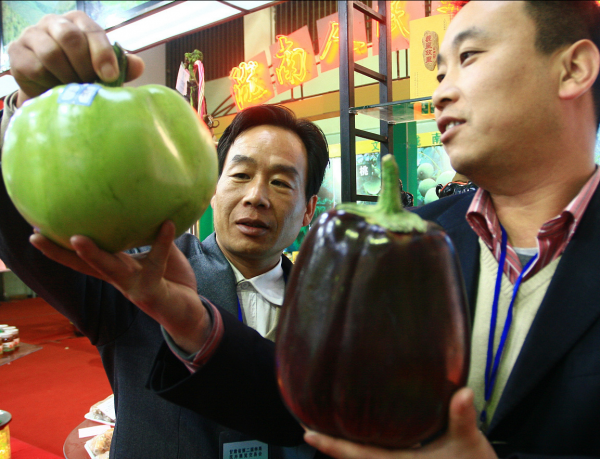 绿色茄子和紫色茄子区别图片