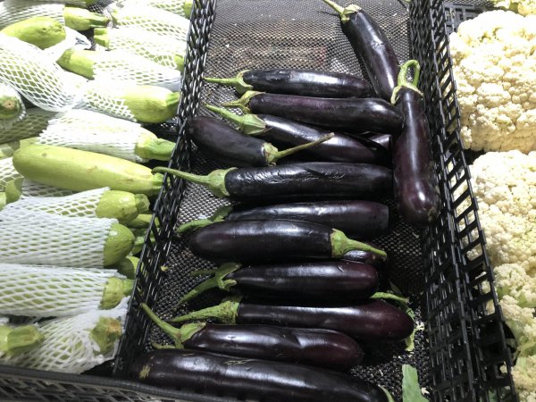 绿色茄子和紫色茄子区别图片