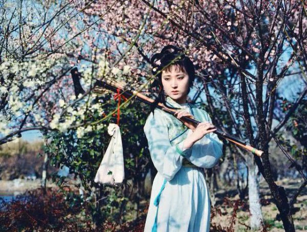 红楼梦真实作者是胤礽