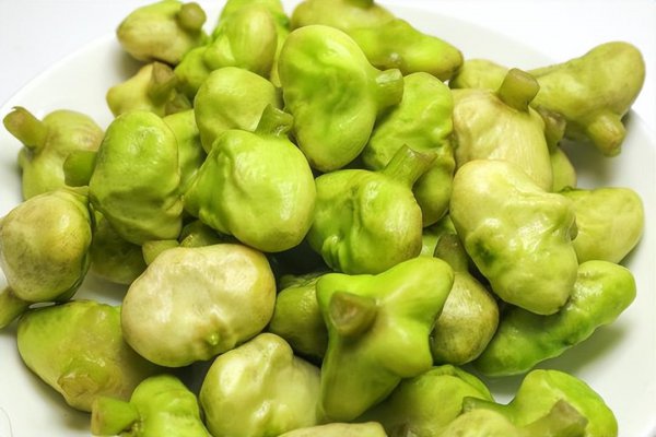 嘉兴特产有哪些值得带回去