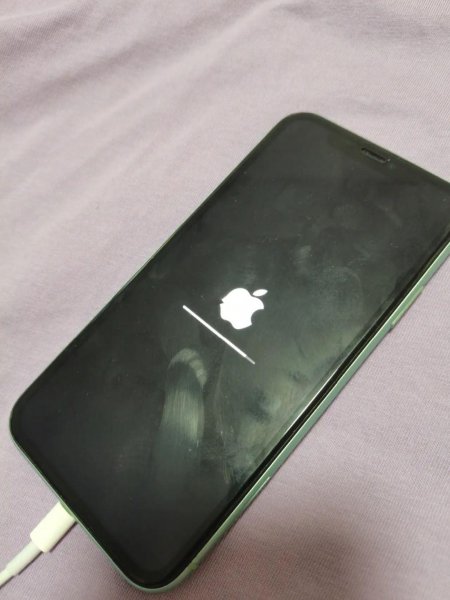 iphone出现苹果标志无法开机