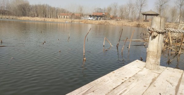 三月份钓鱼最佳时间