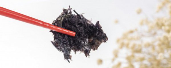 多吃紫菜的好处和坏处