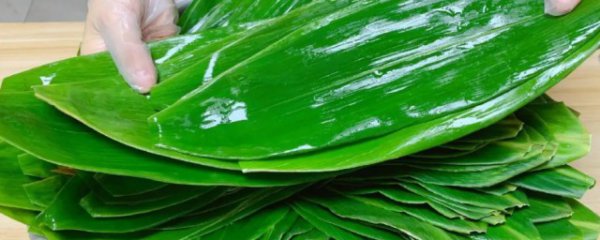 粽叶怎么晒干保存最好呢