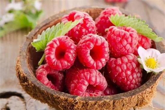 树莓和覆盆子的区别在哪里