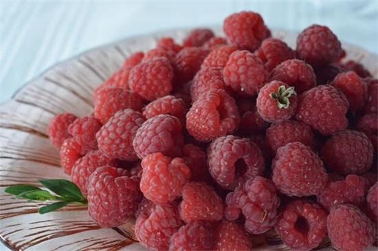 树莓和覆盆子的区别在哪里