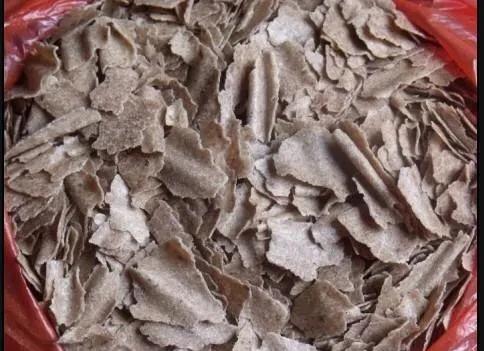 土鲮鱼最喜欢吃什么饵料