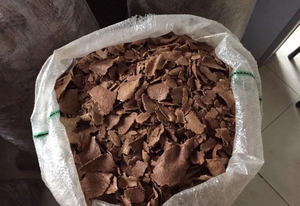 土鲮鱼最喜欢吃什么饵料