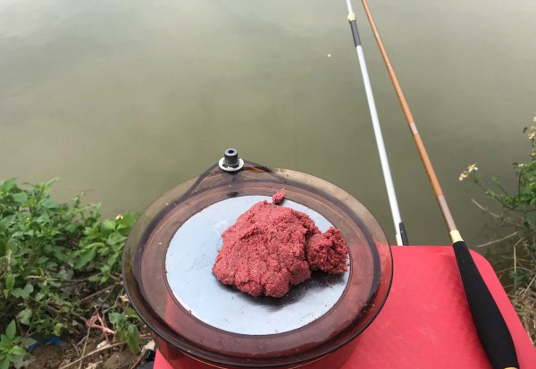 土鲮鱼最喜欢吃什么饵料