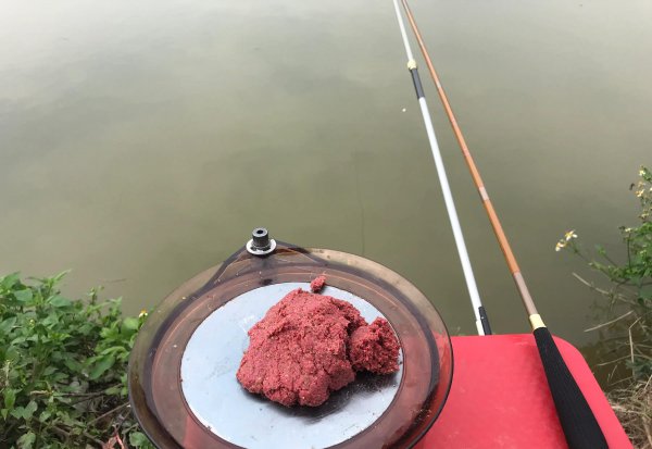 土鲮鱼最喜欢吃什么饵料