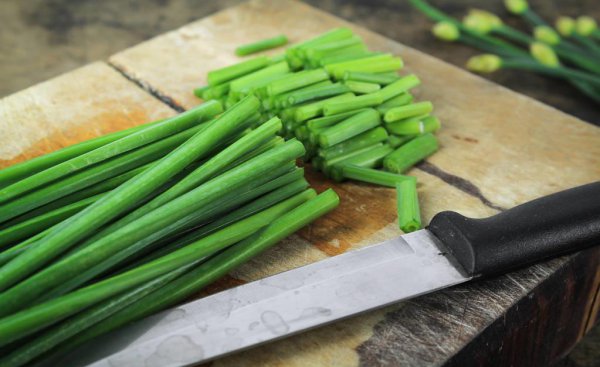 狗狗不能吃的20种水果