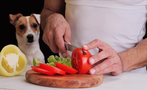 狗狗不能吃的20种水果