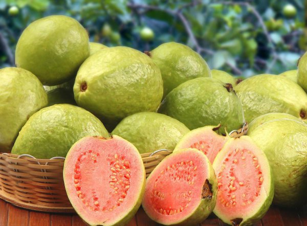 狗狗不能吃的20种水果