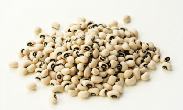 扁豆种植技术和最佳播种时间