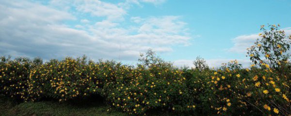 保护环境的好处有哪些