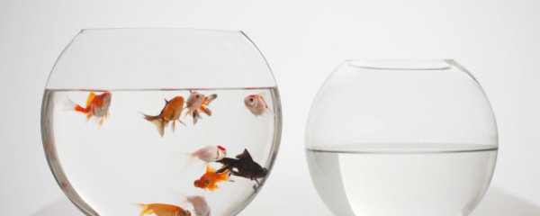 鱼缸供氧开多久合适