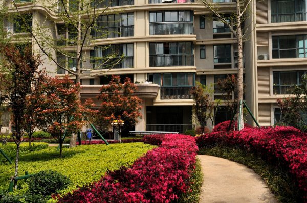 买了24楼的房子后悔了