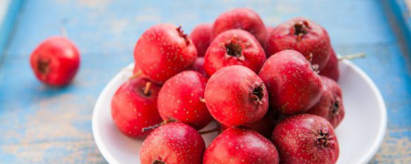 山楂烂了一点还能吃吗