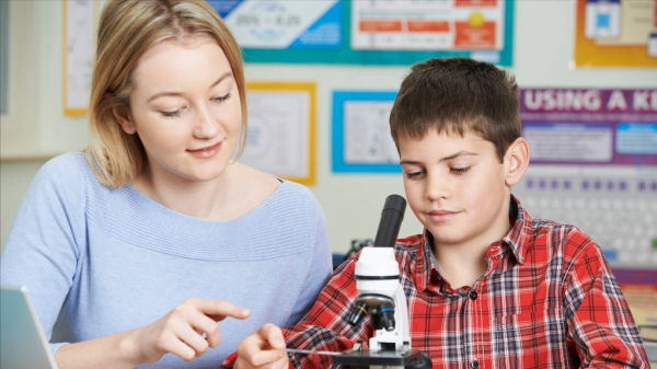 小学老师工资多少