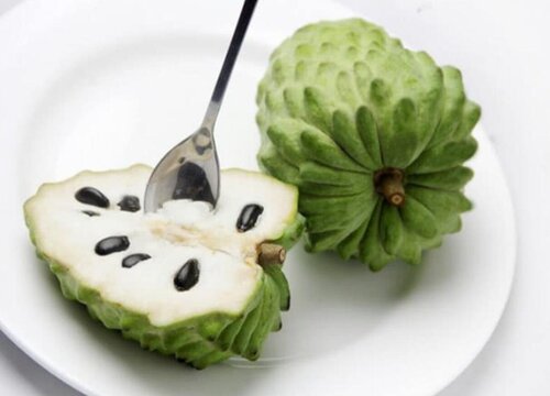 释迦什么时候成熟