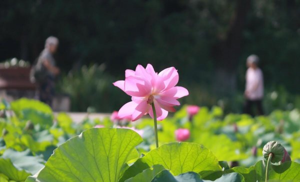 常州属于江苏哪个市