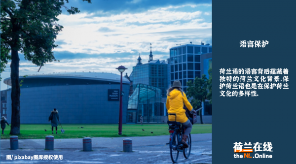 荷兰说什么语言