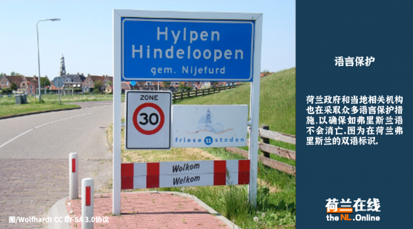 荷兰说什么语言