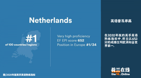 荷兰说什么语言