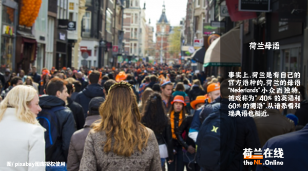 荷兰说什么语言